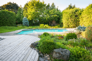 Pool In My Backyard